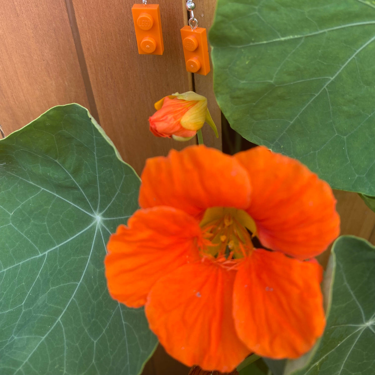 Boucles d'oreilles fantaisies colorées avec des briques de Lego aux noms inspirés des fleurs telles que l'orange capucine.